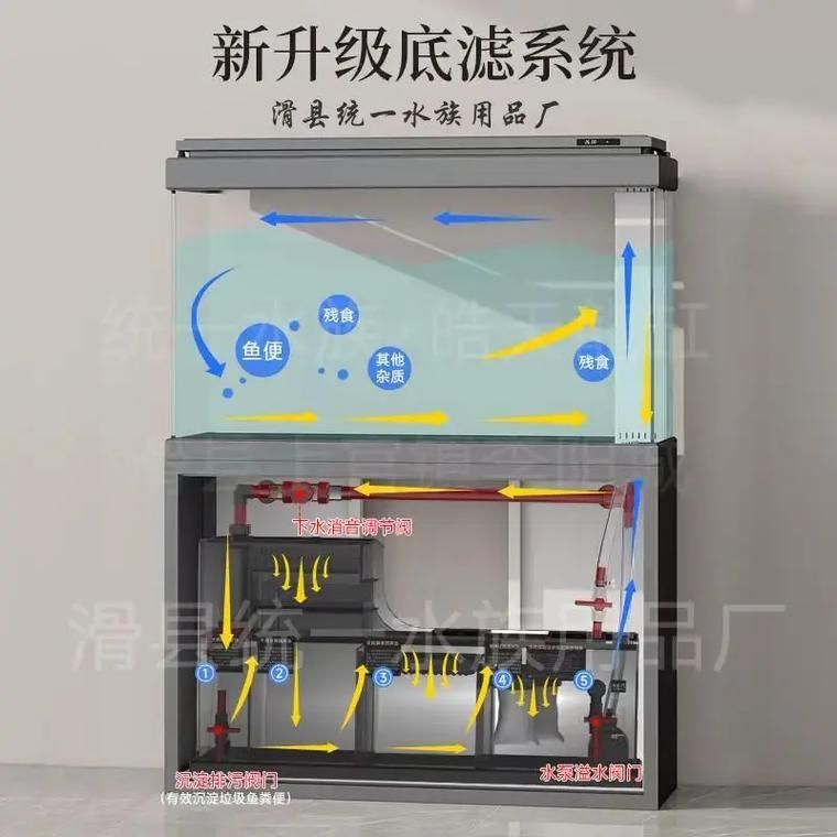 過高的龍魚缸有哪些維護難點？，“過高”龍魚缸的維護難點，1000字+配圖深度詳解