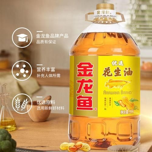 給我推薦幾條價格適中的5斤金龍魚，價格適中的5斤金龍魚