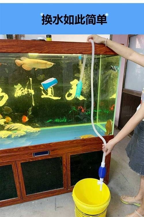 如何預防魚爛尾病