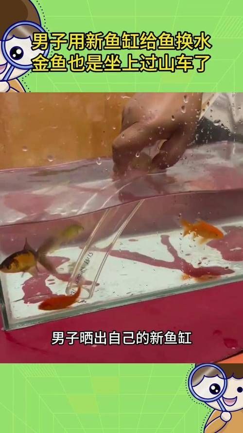 如何預防魚爛尾病