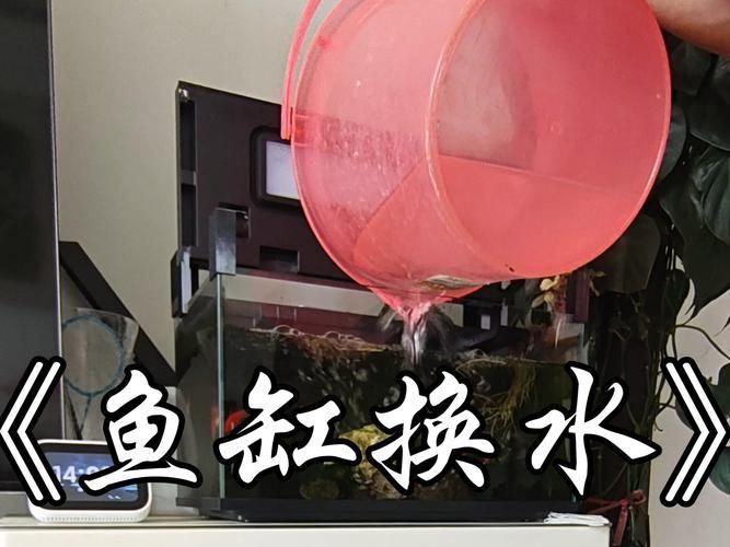 如何預防魚爛尾病