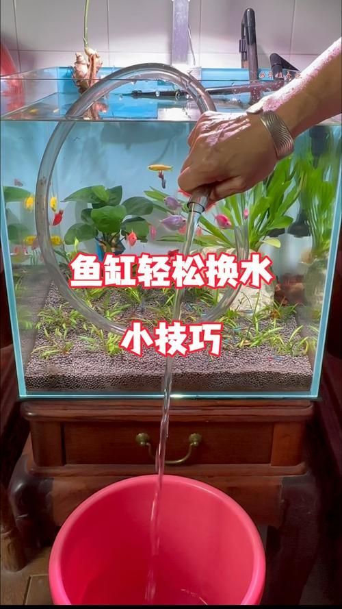 如何預防魚爛尾病