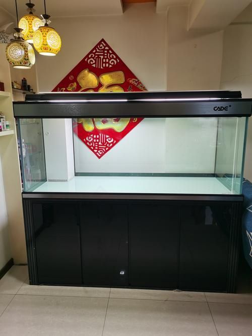 彩鰈(CADE)龍魚缸有哪些系列？，彩鰈(cade)龍魚缸有哪些系列？