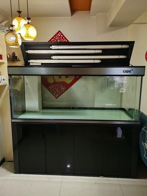 彩鰈(CADE)龍魚缸有哪些系列？，彩鰈(cade)龍魚缸有哪些系列？