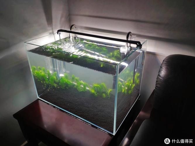 60厘米魚缸有哪些推薦配置，60厘米魚缸有哪些推薦配置，如何選擇60厘米魚缸的高性價(jià)比配置