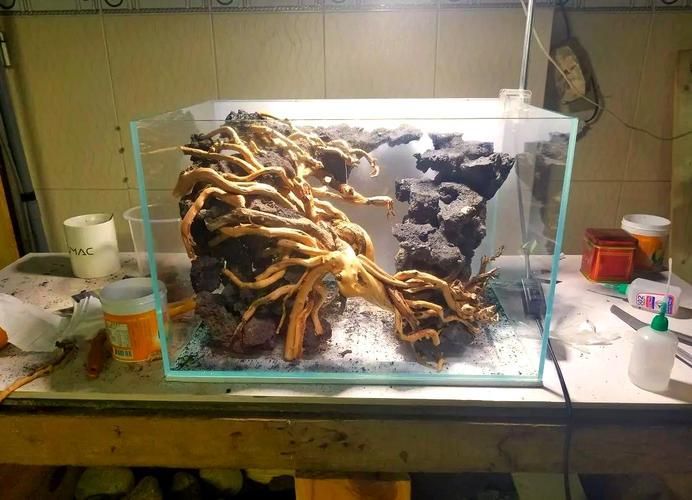 60厘米魚缸有哪些推薦配置，60厘米魚缸有哪些推薦配置，如何選擇60厘米魚缸的高性價(jià)比配置