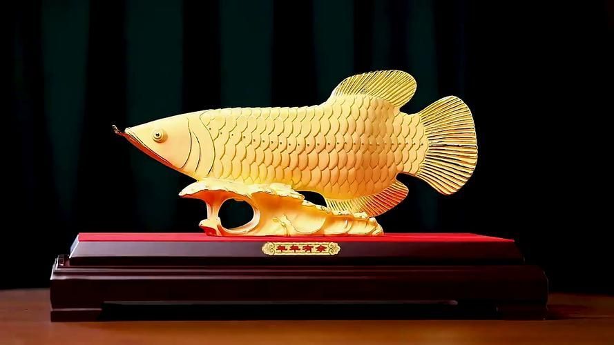 龍魚擺件正確擺放位置，龍魚擺件正確擺放位置龍魚擺件多久清洗一次龍魚擺件最佳擺放高度