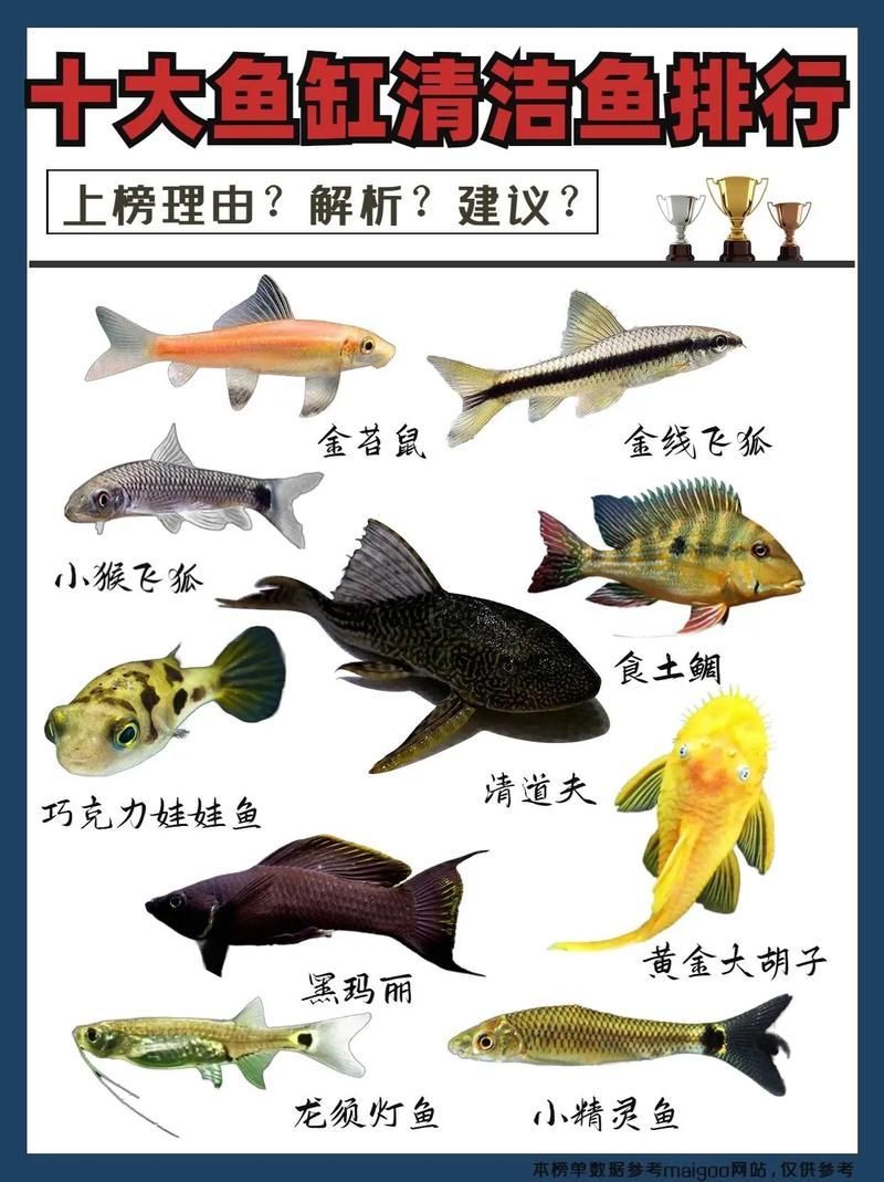 如何判斷魚是否趴缸，如何判斷魚是否是趴缸
