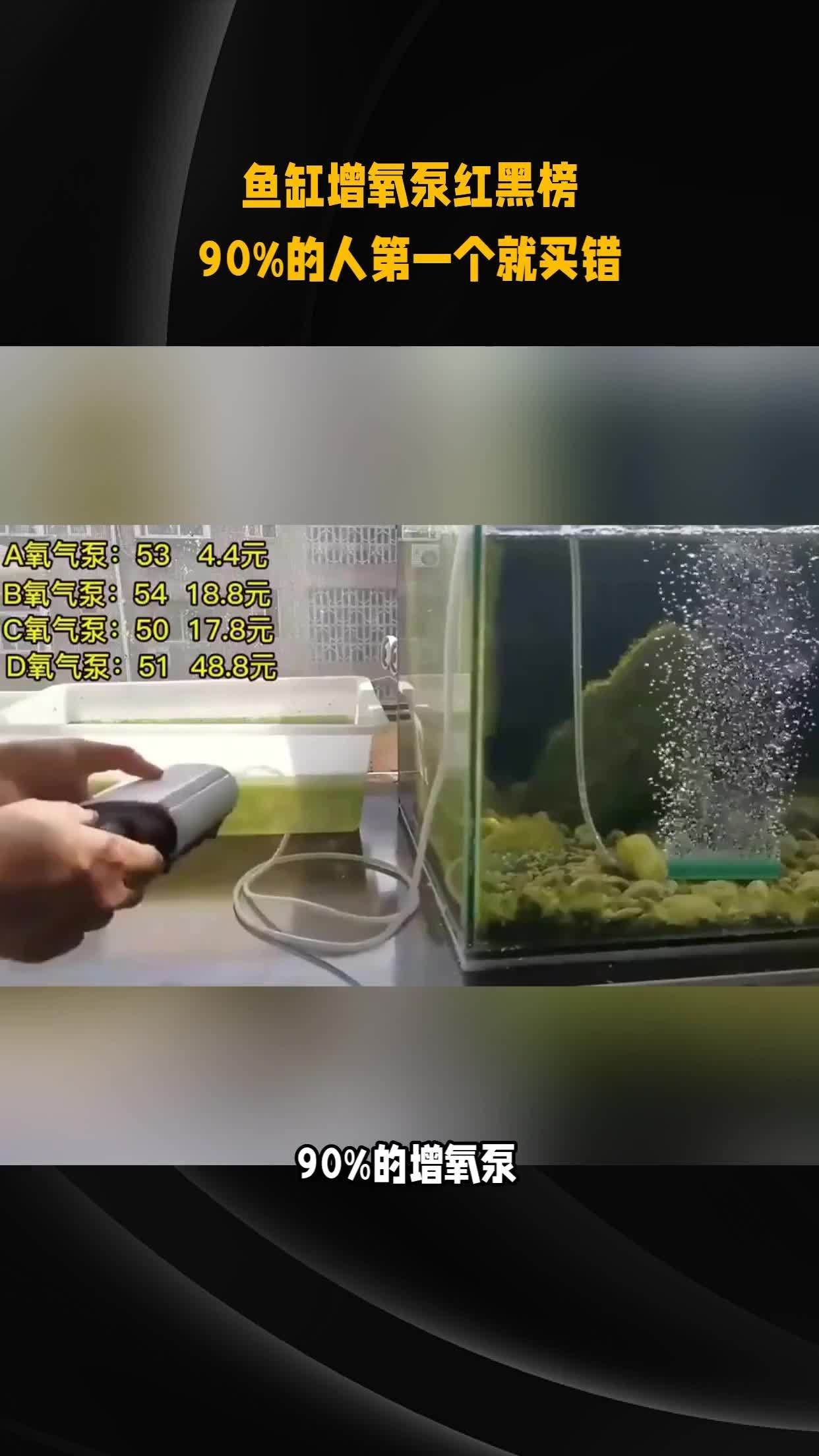 魚缸增氧泵哪個型號性價比最高，松寶魚缸增氧泵哪個型號性價比最高性價比最高性價比最高 魚缸增氧泵哪個型號性價比最高，松寶魚缸增氧泵哪個型號性價比最高性價比最高性價比最高 龍魚百科 第2張