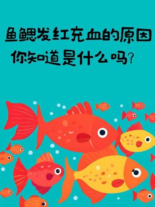 如何預防魚充血的發(fā)生，如何預防魚充血