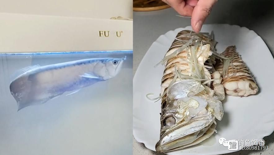 給我一些鑒別真假桐城龍魚的圖片示例，如何鑒別真假桐城龍魚的圖片示例