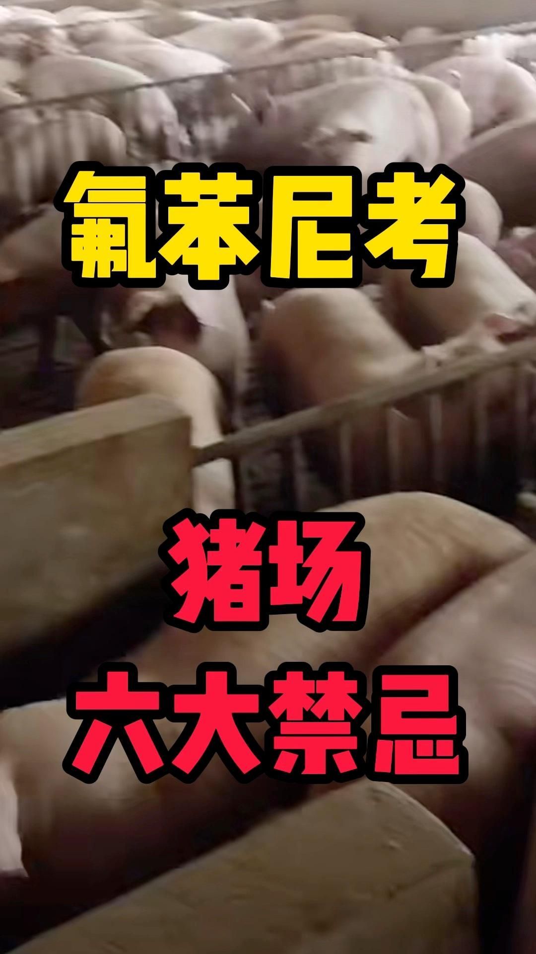 如何判斷動物是否適合使用氟苯尼考，判斷動物是否適合使用氟苯尼考