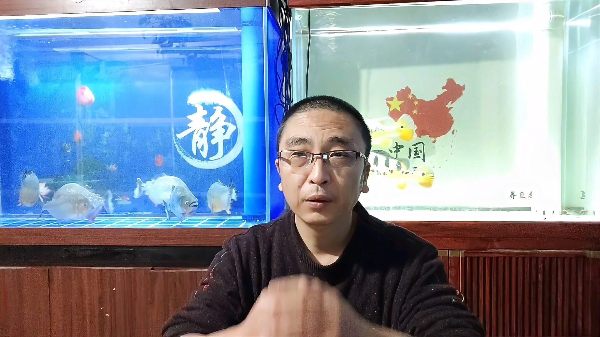 如何判斷魚缸是否需要增強過濾，判斷魚缸是否需要增強過濾，如何判斷是否需要增強過濾