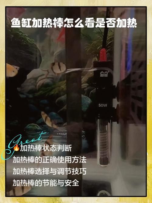 如何預防龍魚浮頭的發(fā)生，如何預防龍魚浮頭發(fā)生思考完成arxiv論文助手