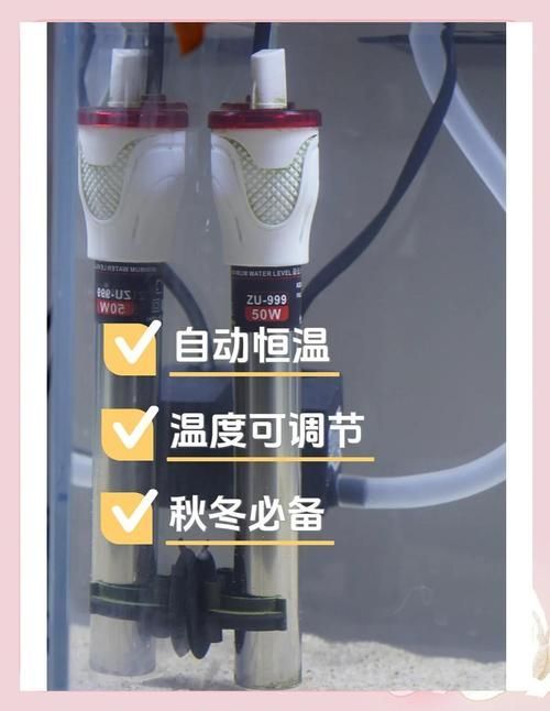 如何預防龍魚浮頭的發(fā)生，如何預防龍魚浮頭發(fā)生思考完成arxiv論文助手