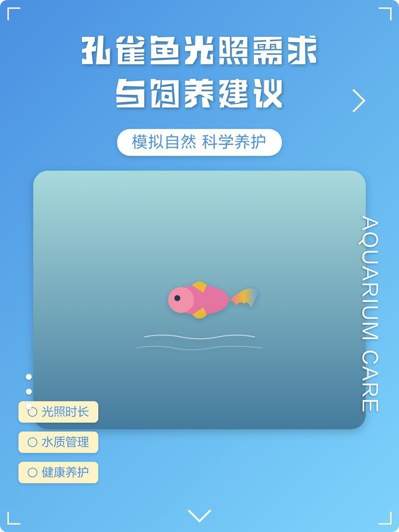 如何為孔雀魚提供適宜的光照環境，孔雀魚光照的三大關鍵詞：孔雀魚光照的三大關鍵詞
