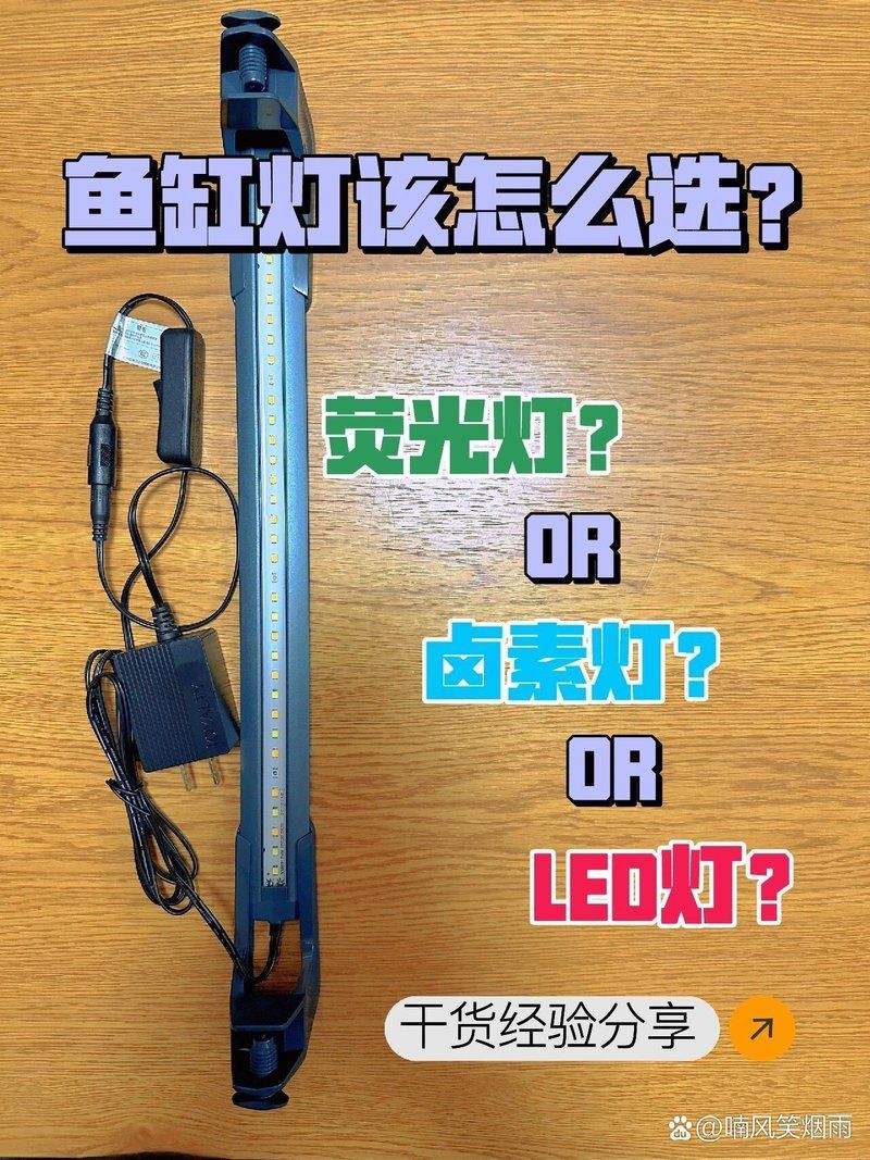 如何選擇合適的魚缸補光燈
