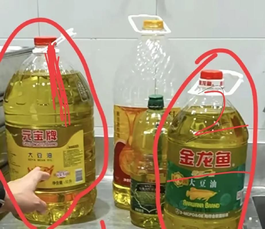 金龍魚和元寶牌哪個品牌更好？