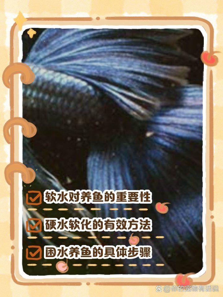 如何預防龍魚背上再次出現黑霉，龍魚背上再次出現黑霉