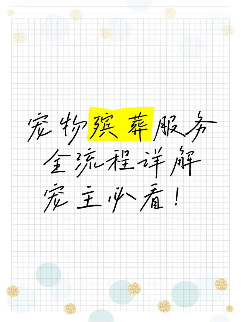 有哪些專業(yè)的寵物火化服務(wù)，<strong><mark>北京</mark></strong>專業(yè)寵物火化服務(wù)