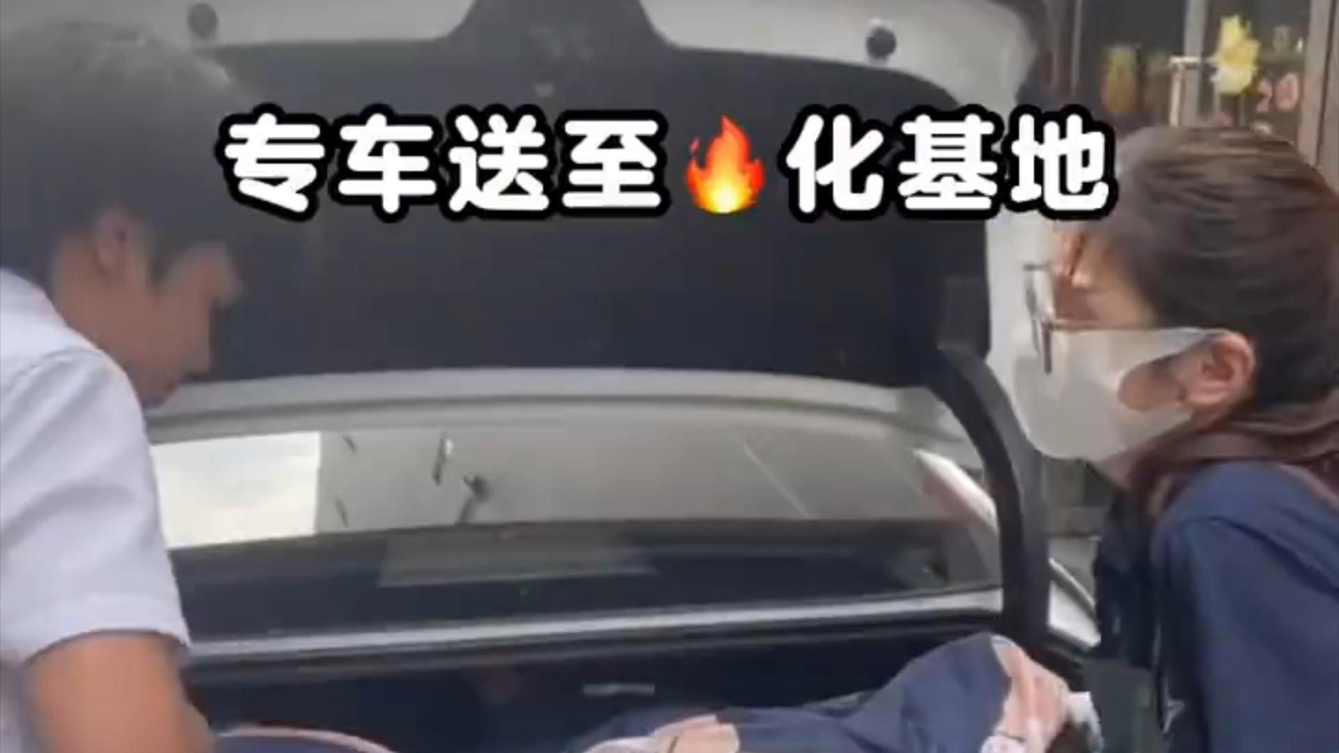 有哪些專業的寵物火化服務，北京專業寵物火化服務