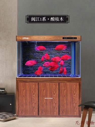 龍魚缸的最佳尺寸圖紙，龍魚缸最佳尺寸圖紙