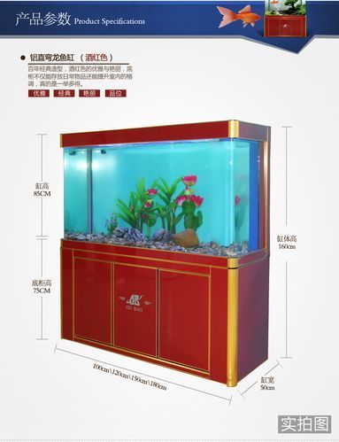 龍魚缸的最佳尺寸圖紙，龍魚缸最佳尺寸圖紙