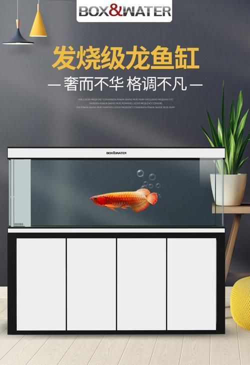 龍魚缸的最佳尺寸圖紙，龍魚缸最佳尺寸圖紙