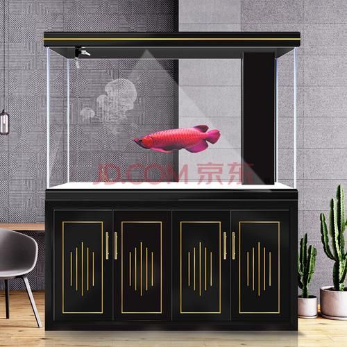 龍魚缸的最佳尺寸圖紙，龍魚缸最佳尺寸圖紙