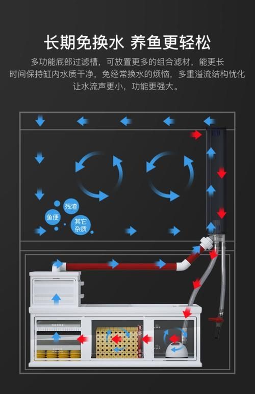 龍魚缸的最佳尺寸圖紙，龍魚缸最佳尺寸圖紙