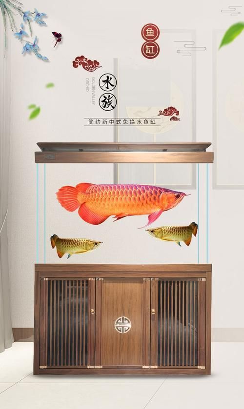 龍魚缸的最佳尺寸圖紙，龍魚缸最佳尺寸圖紙