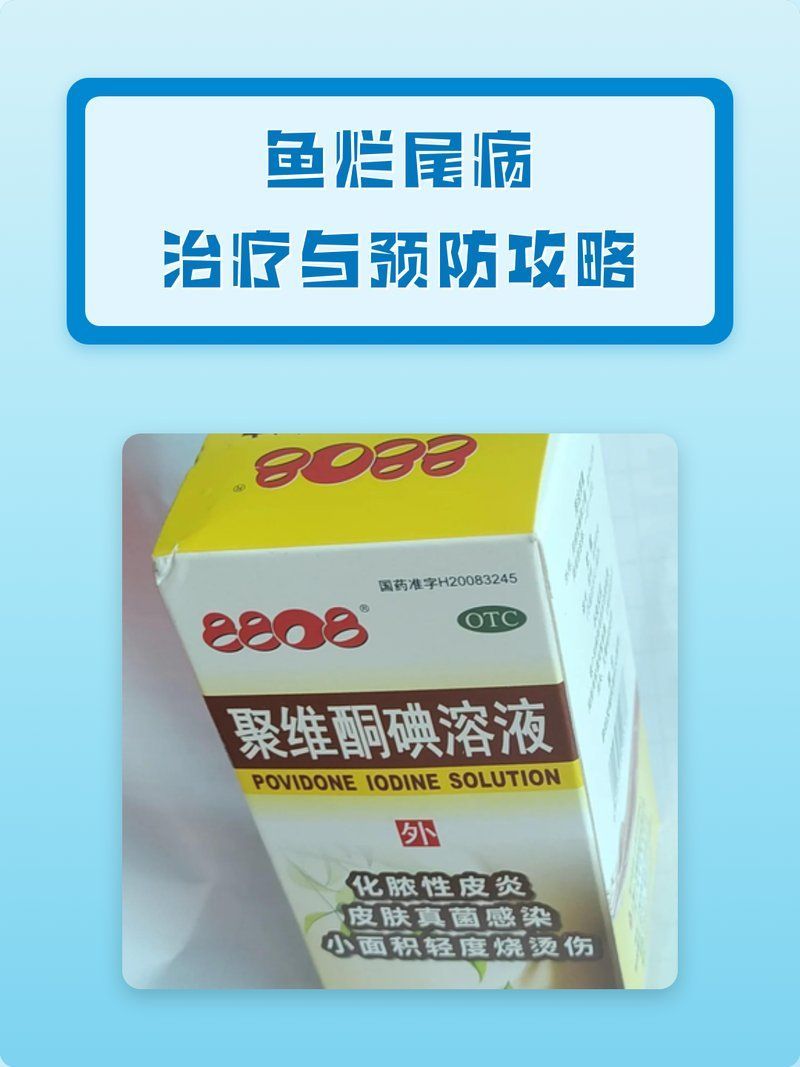 如何預防龍魚爛尾病，預防龍魚爛尾病的幾個關鍵措施，如何預防龍魚爛尾病