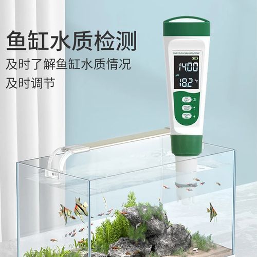 如何預(yù)防錦鯉爛尾爛鰭復(fù)發(fā)