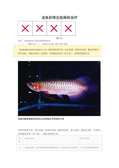 龍魚白霧變白后如何恢復，龍魚白霧變白后如何恢復顏色