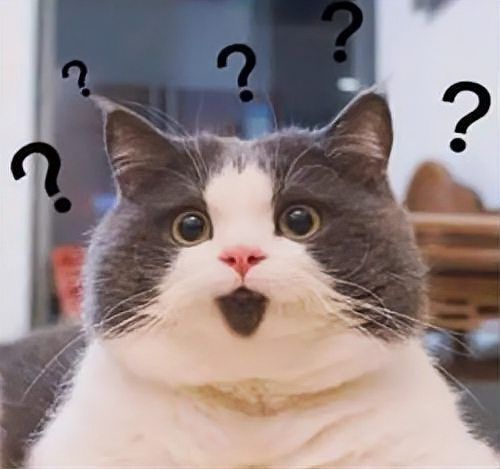 如何判斷龍魚是否因失鰾癥翻肚？，如何判斷龍魚因失鰾癥翻肚