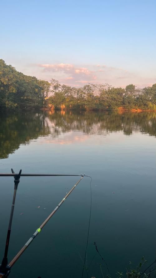 廣東釣觀魚(yú)最佳天氣，廣東釣觀魚(yú)最佳天氣詳解（最佳天氣實(shí)踐指南）（1000字詳解）