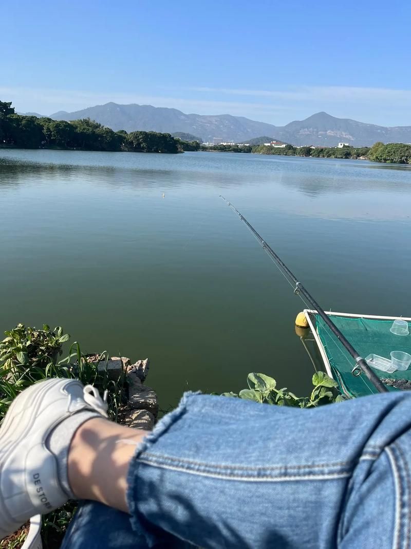 廣東釣觀魚最佳天氣，廣東釣觀魚最佳天氣詳解（最佳天氣實踐指南）（1000字詳解）