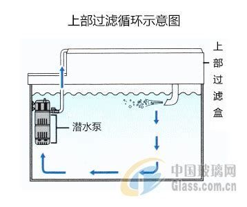 如何判斷魚缸水流是否適合龍魚？，判斷魚缸水流是否適合龍魚，如何判斷水流是否適合龍魚
