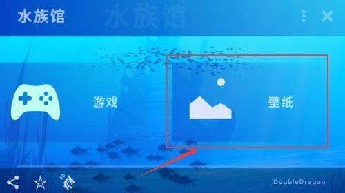 如何設置紅龍魚動態壁紙，如何設置紅龍魚動態壁紙設置紅龍魚動態壁紙思考完成