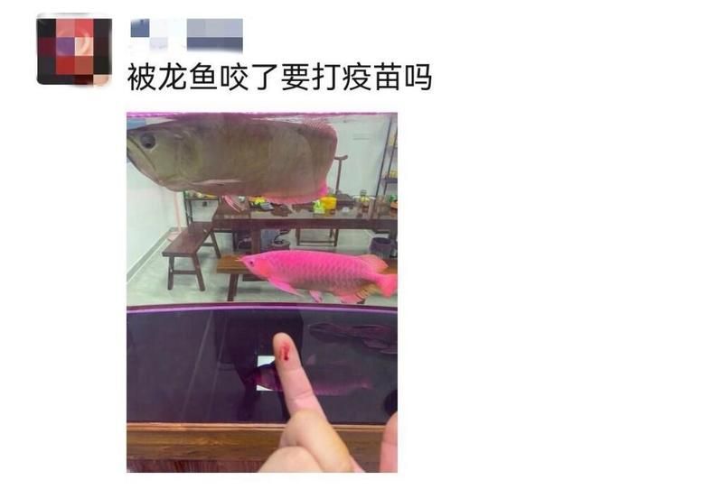 被龍魚咬傷后多久會愈合，被龍魚咬傷后多久會愈合思考完成百度健康-去問診
