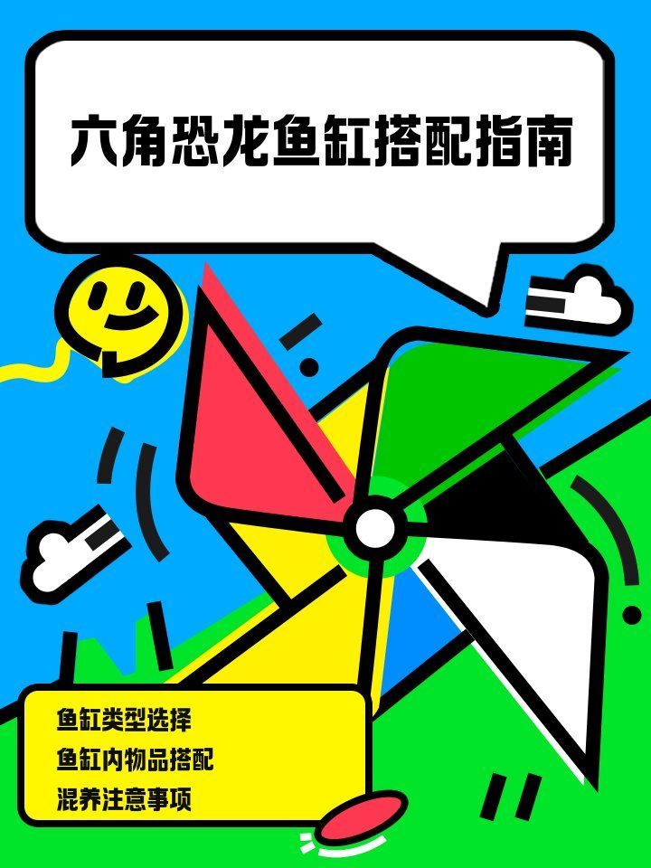 六角龍需要多大的飼養空間，六角恐龍魚缸布置全攻略六角恐龍魚缸布置全攻略