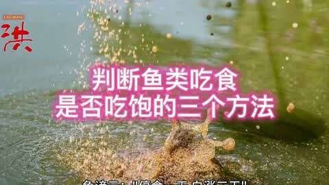 如何判斷魚是否還有食欲，如何判斷魚是否健康，如何判斷魚是否有食欲，核心原則是：別看它