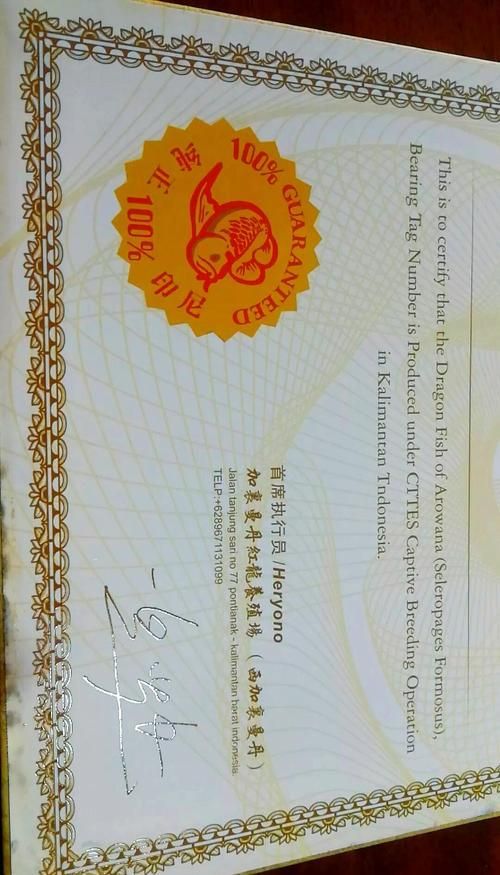 有哪些著名的清水龍魚血統證書，關于清水龍魚血統證書