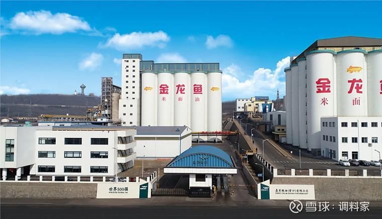 如何聯系金龍魚山西總代理進行合作？，如何聯系金龍魚山西總代理進行合作