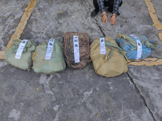 內寄和外寄哪個更危險，內寄和外寄有什么區別？
