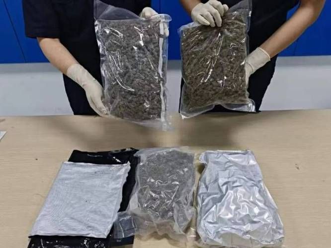 內寄和外寄哪個更危險，內寄和外寄有什么區別？