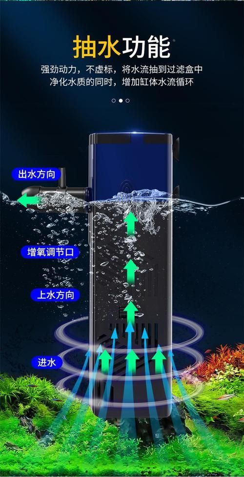 如何預(yù)防魚缸缺氧，如何科學(xué)預(yù)防魚缸缺氧