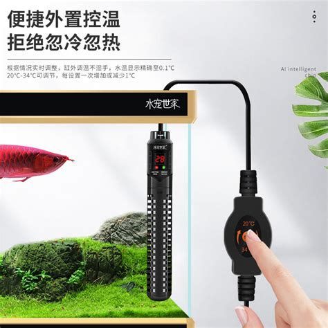 龍魚水溫多久會恢復正常，龍魚水溫多久會恢復正常龍魚水溫多久會恢復正常狀態(tài)