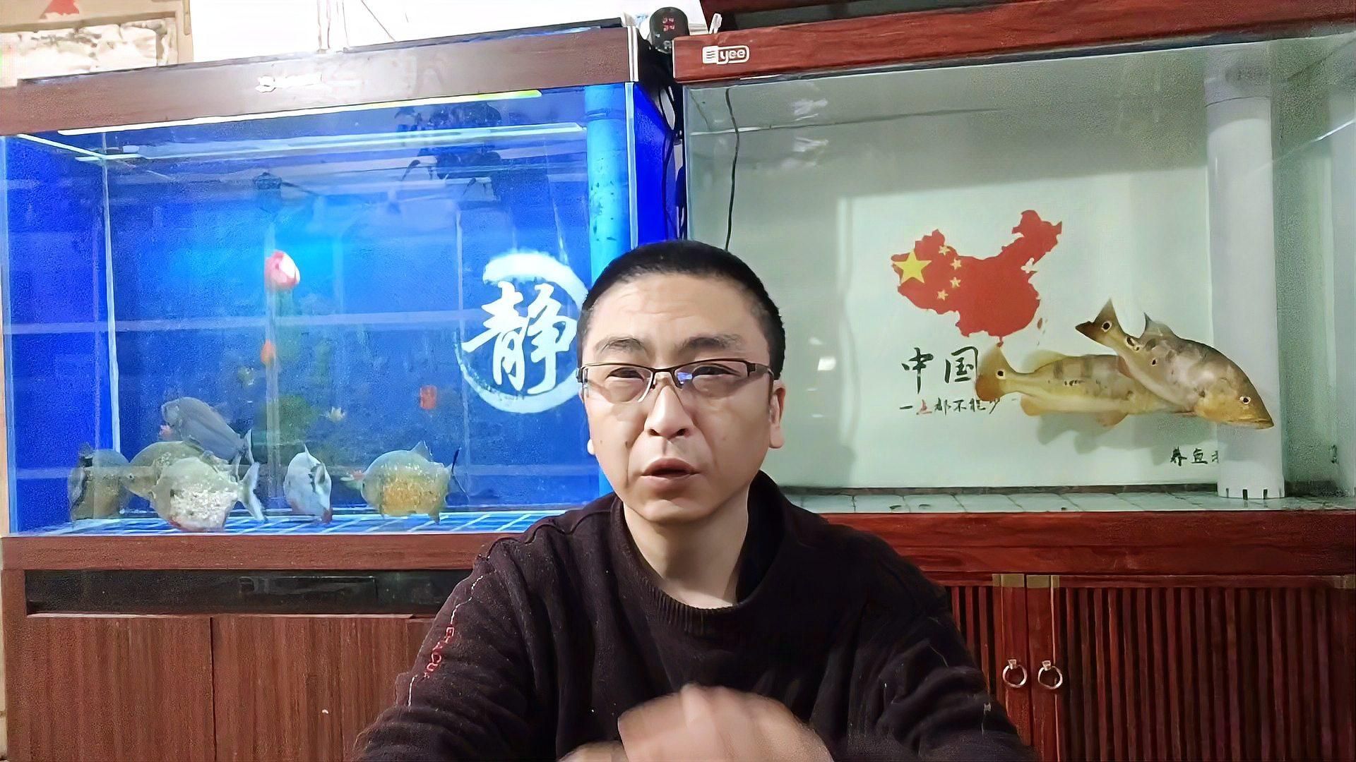 魚缸魚上浮是缺氧嗎？，魚缸中的魚上浮是缺氧嗎
