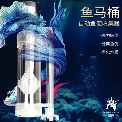 如何判斷龍魚是否消化大麥蟲成功？，龍魚消化大麥蟲成功與否可以通過觀察其行為和生理狀態來判斷